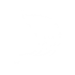 Ícono